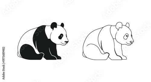PandaBearIllustrationsUniqueComparisons Vector