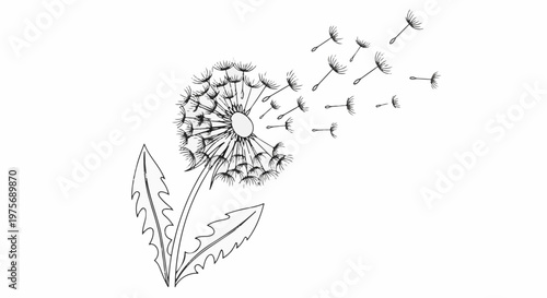 Delicate dandelion seeds carried on the wind