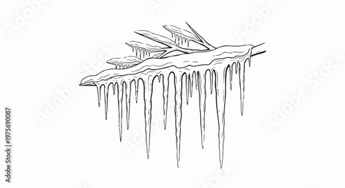 Detailed line art drawing of icicles hanging from frozen branches