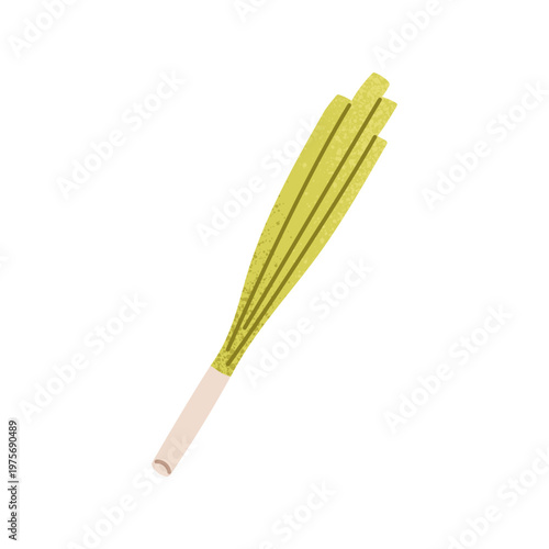 Scallion illustration