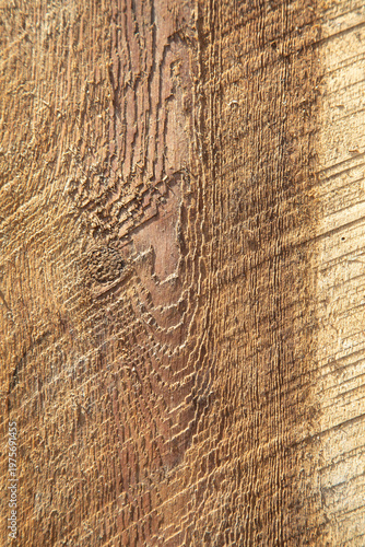 Natural wooden texture or background.