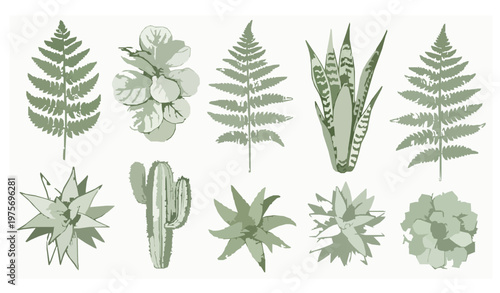 Hand-drawn ink top view plant sketches for landscape design