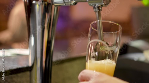 The Bartender Pours A Light Beer With Foam Into A Glass