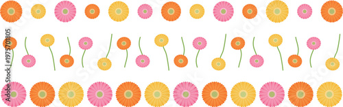 ガーベラのライン3種セット