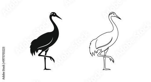 Black and White Crane Bird Silhouette Comparison Guide Vector