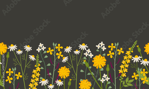 Yellow wildflowers seamless border. Delicate yellow hand drawn dandelion and chamomile flowers vector print. Botanical spring nature motifs. Seasonal floral blossom background.