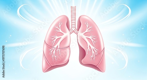 Human lungs illustration with radiating light and blue background