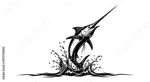 Marlin fishing vector illustration, jumping blue marlin swordfish in water splash, black and white sport fishing logo, nautical ocean predator graphic