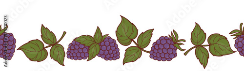 Seamless Border with Ripe Blackberries and Green Leaves. Botanical Fruit Web Divider. Minimalist Berry Horizontal Ribbon. Vector Illustration. Website Header with Copy Space..