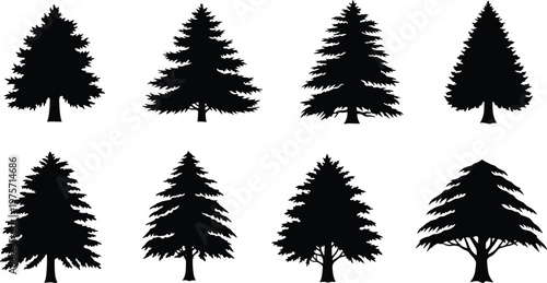 Silhouette coniferous tree, evergreen forest design, black vector illustration, pine spruce fir, botanical art, nature landscape, winter season, outdoor, woodland, forestry