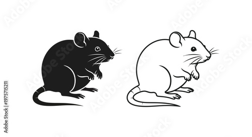 Mouse vs Rat Key Differences Illustrated Vector