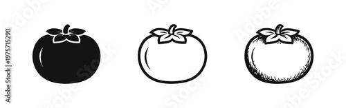 Tomato Fruit Vegetable Icon Set in Glyph, Outline, and Sketchy Styles - Fresh Produce Symbol