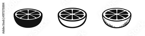 Lemon slice icons set: solid silhouette, thin line, and hand-drawn sketch styles. Citrus fruit vector illustration.