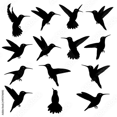 Hummingbird silhouette collection, set of 14 black bird icons in flight, tropical colibri vector elements for nature design and logo branding