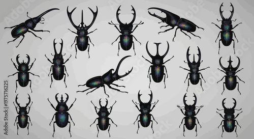 Realistic stag beetle collection, 16 iridescent insect vector elements, black rhinoceros beetles with large mandibles, entomology specimen set