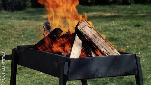 Birch logs burning in a grill on spring holiday, green grass, festive season