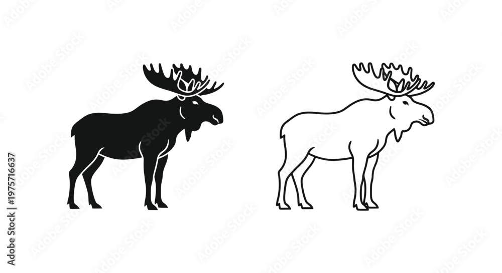 Fototapeta premium Moose Species Comparison Guide Identification Vector