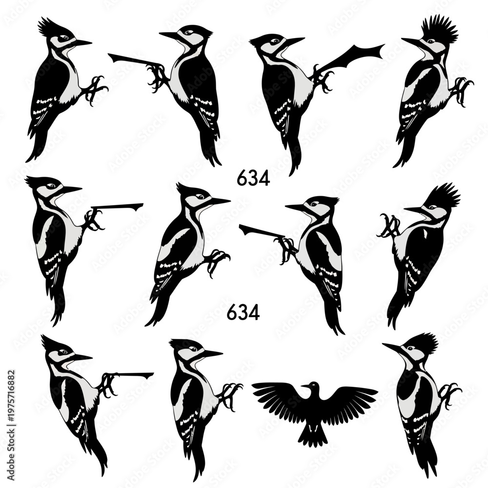 Fototapeta premium Woodpecker bird silhouette collection, black and white avian vector set, 11 woodpecker elements for nature design and wildlife branding