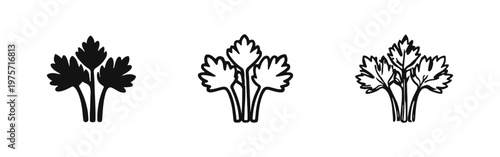 Parsley herb icons set: solid silhouette, thin line, and hand-drawn sketch styles. Fresh seasoning vector art.