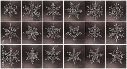 Intricate white snowflake vector set, 18 detailed winter ice crystals on dark background, elegant frozen snow ornaments for Christmas holiday decor