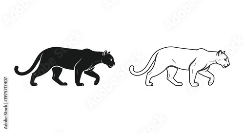 Black Panther vs Cougar Feline Silhouette Comparison Vector