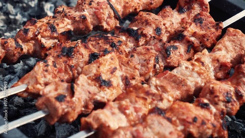 Pork skewers grilling on rack over coals, spring barbecue in backyard
