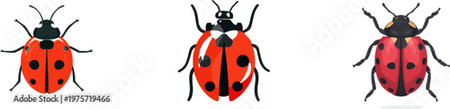 A minimalist red ladybug silhouette with black spots on a white background is depicted in a frontal view, showcasing sharp clean contours and minimal shading for high precision vector tracing