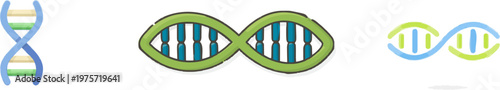 A minimalist flat vector illustration of a stylized DNA double helix in alternating blue and green colors against a pure white background, representing genetics with clean, 2D graphic design elements