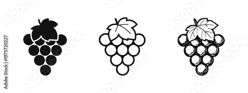 Grapes Icon Set with Leaf. Vineyard Fruit and Wine Vector Graphics.