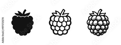 Stone Fruit Icons Set (Peach/Plum). Silhouettes, Line Art, and Textured Styles for Organic Produce and Healthy Diet Graphics.