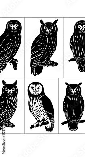 Vintage owl vector collection, black and white linocut style bird illustrations, set of 6 hand drawn nocturnal owl graphics for nature branding