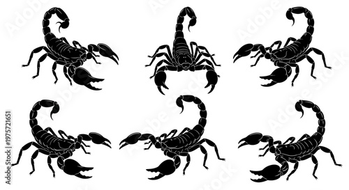Black scorpion silhouette vector set, 6 detailed scorpion icons with curved stingers and claws, predatory arachnid illustrations for tattoo design