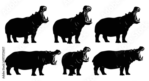 Vintage hippopotamus silhouette set, hand drawn hippo illustrations with open mouth, 6 black vector animal icons for safari wildlife design
