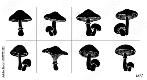 Vintage mushroom silhouettes collection, set of 8 botanical fungus icons, black forest mushroom vector elements for nature design and scientific illustration