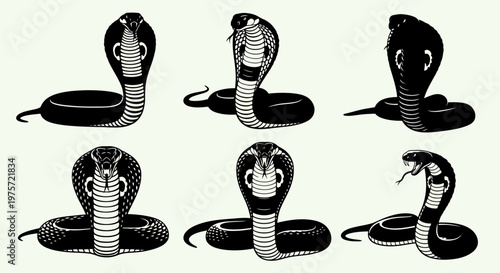 King cobra snake vector set, black and white cobra serpent illustrations, collection of 6 stylized snake silhouettes for tattoo and logo design