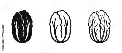 Chinese cabbage (Napa cabbage) icon set in solid, outline, and hand-drawn styles on a white background.