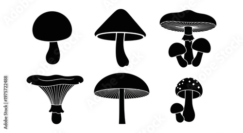 Black mushroom silhouettes collection, set of 6 fungal vector icons, botanical forest fungi shapes, minimalist organic mushroom illustrations