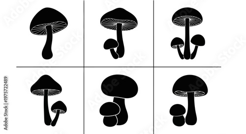 Black mushroom silhouette icons set, botanical fungus vector illustrations, minimalist forest fungi collection, 6 nature element graphics for logo design