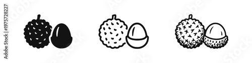 Lychee fruit icon set. Whole and peeled tropical lychee in different styles. Exotic fruit vector illustration.