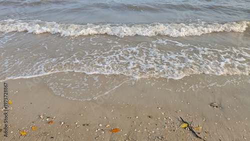 Relaxing Ocean Horizon Scene for Wellness and Meditation Content