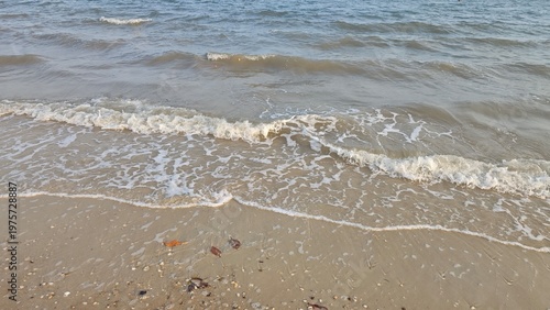 waves on the beach