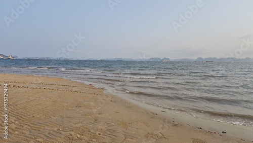 Minimal Beach Scene with Ocean for Clean and Modern Design Use