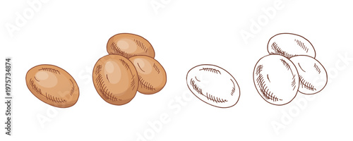 Hand drawn vintage sketch chicken eggs set with colored and monochrome versions farm food illustration collection