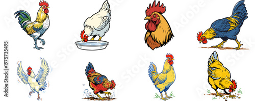 Vintage Comic Style Chicken and Rooster Illustration Set
