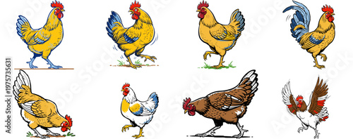 Set of colorful rooster and hen cartoon characters isolated on white background