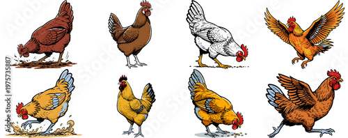 Set of chicken and rooster illustrations in retro comic style isolated on white