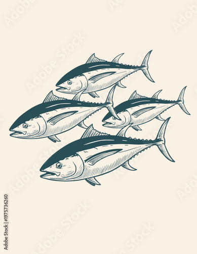 Vintage Engraving Style Illustration of a School of Tuna Fish