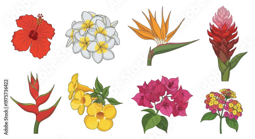 Colorful exotic flowers on display.