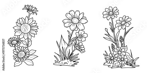 Bouquets of daisies and sunflowers in the grass, a simple hand-drawn sketch. Vector illustration. Drawing of forest and meadow grasses and bushes, isolated on a white background