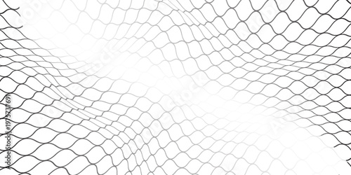 Fishing or soccer net. Repeated hexagon pattern. Black wired mesh texture isolated on white background. Metallic or fabric fence, cage or lattice structure. Vector graphic Illustration.